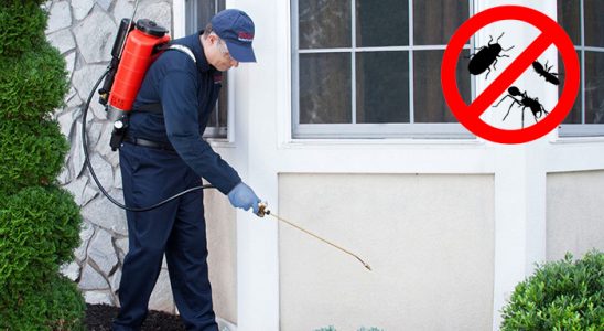 Tekirdağ Hamam Böceği İlaçlama böcek ilaçlama ve haşere kontrolü — ilaclama-tr.com
